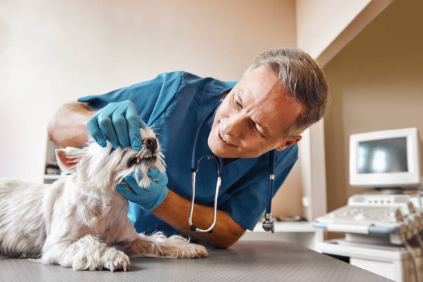 Best Urgent Dental Care in Keyport, NJ